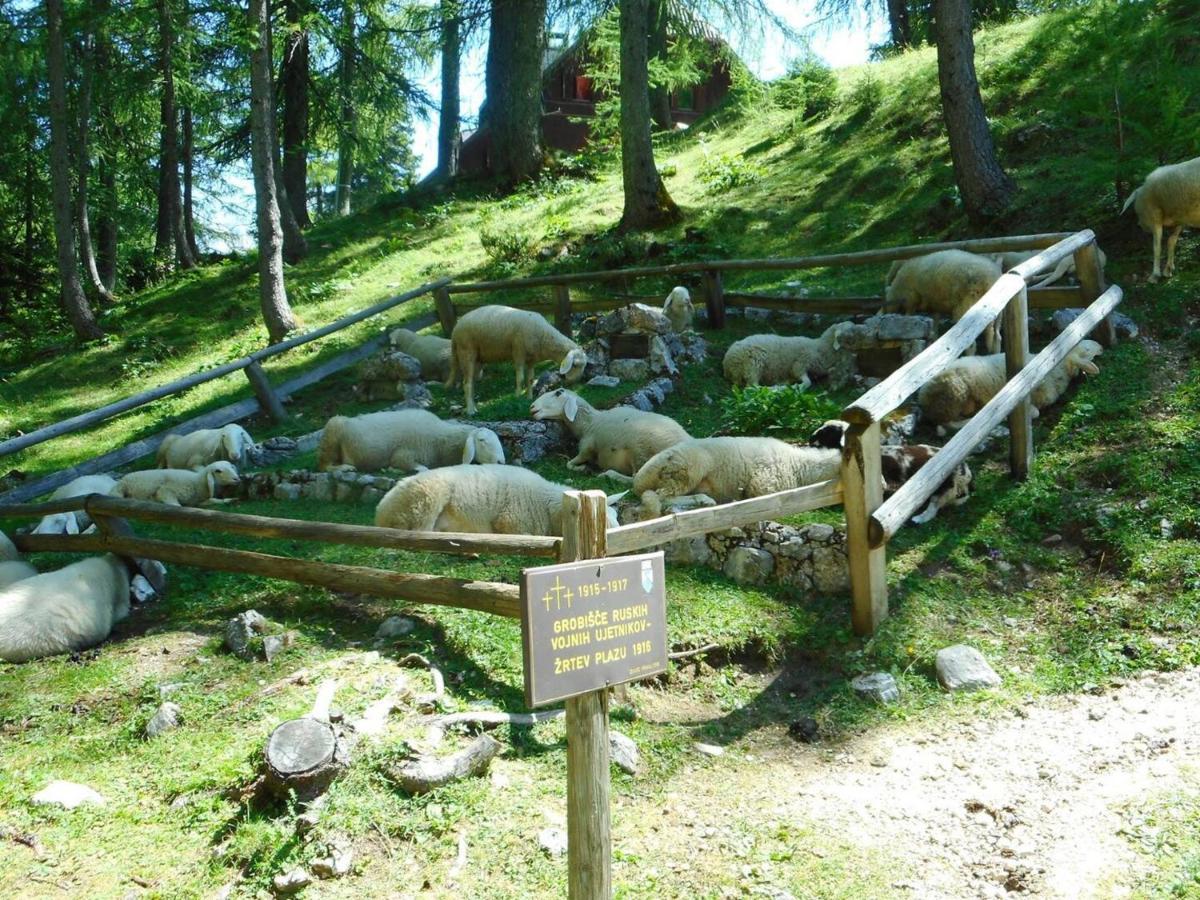 Erjavceva Mountain Hut At Vrsic Pass Hotel Kranjska Gora Exterior photo
